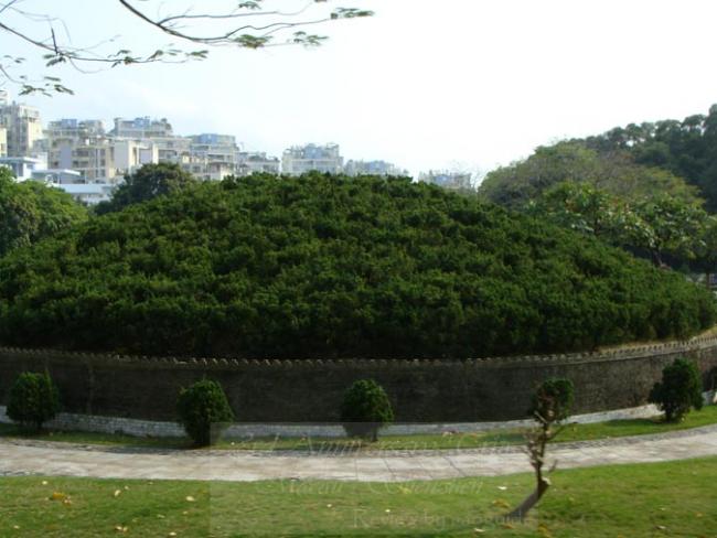 resizeDSC09257.jpg